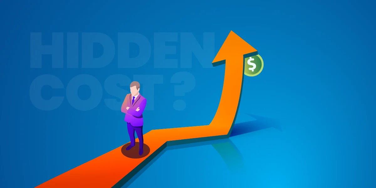 hidden cost of website
